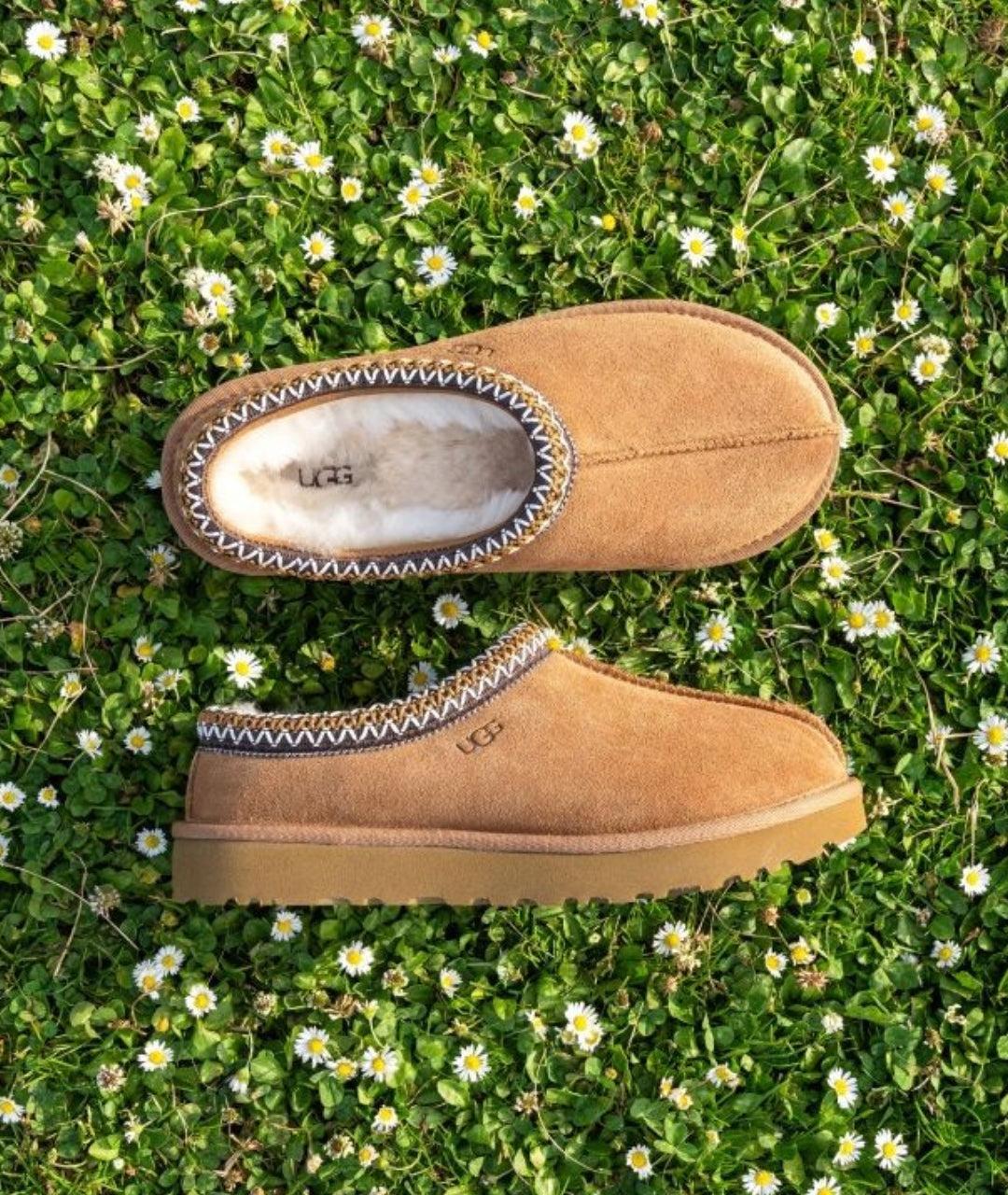 UGG  Women's Tasman II Slippers